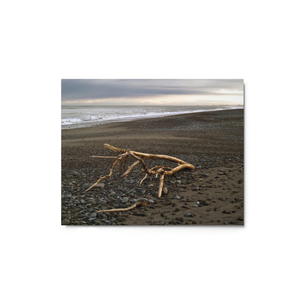 Driftwood Metal Print